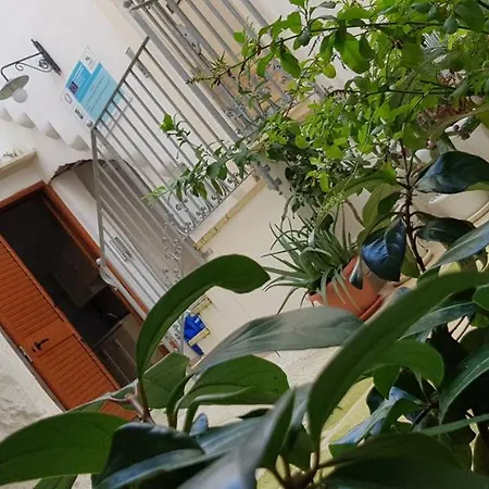 Stalla דירה *